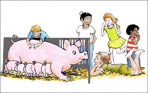 children watch piglets feed /