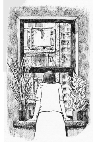 drawing of plant-filled window onto concrete jungle/