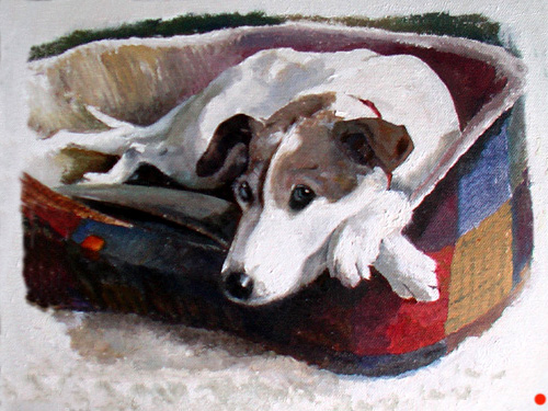 watercolour portrait of dog in its bed./
